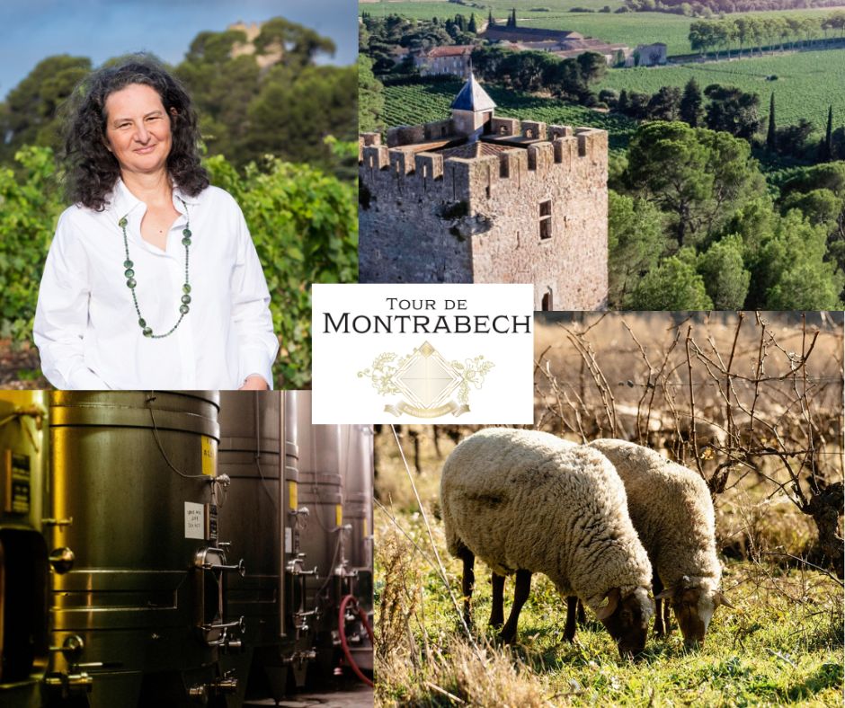 Famille d'Exéa: Anne Besse, château, chai et vignobles