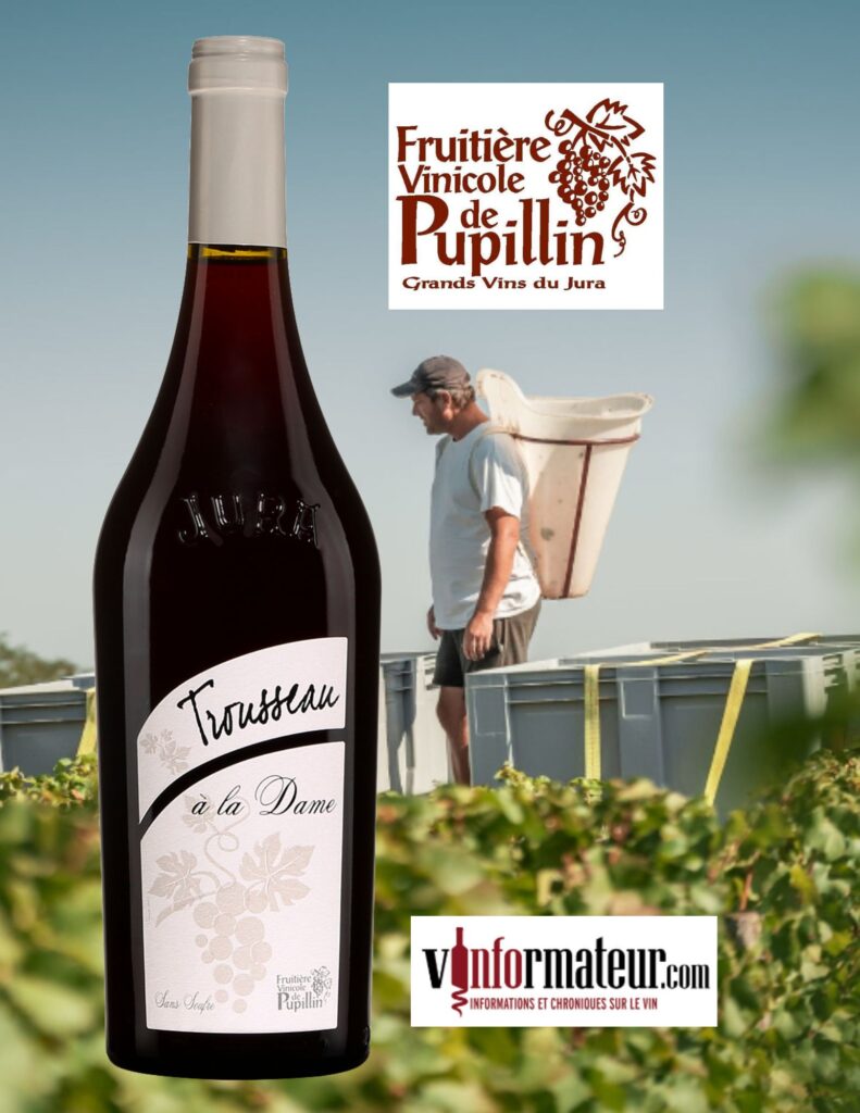 Trousseau, France, Jura, Arbois-Pupillin, vin rouge nature (sans sulfites ajoutés), Fruitière Vinicole de Pupillin , 2022 bouteille