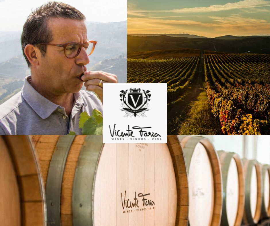 Vicente Faria, chai et vignobles