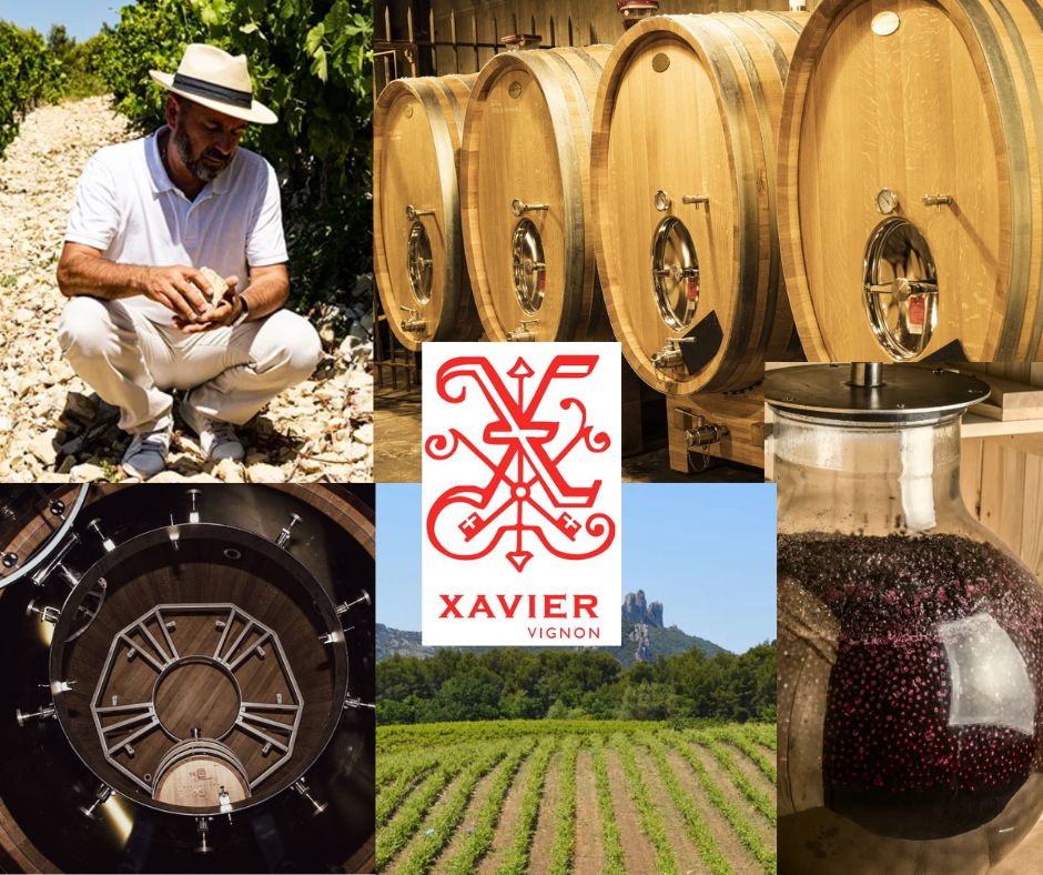Xavier Vignon: Xavier Vignon, chai et vignobles