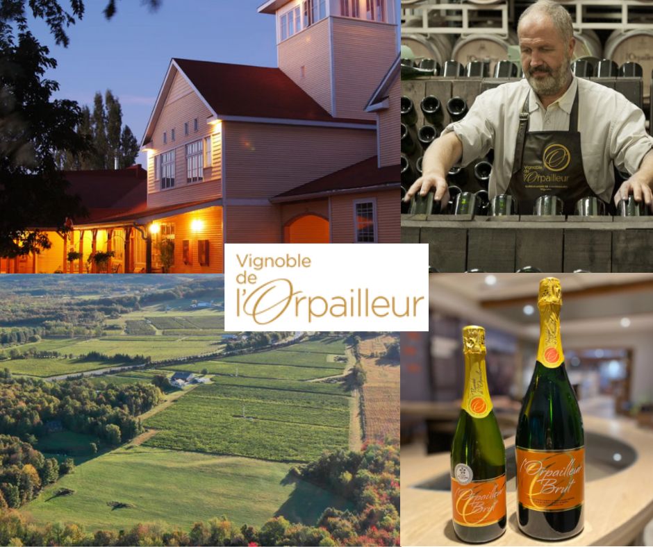 Vignoble de l'Orpailleur: Charles-Henri de Coussergues propriétaire et vigneron, chai, vignobles, bouteilles de l'Orpailleur Brut