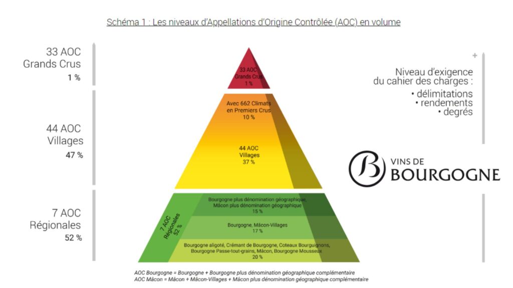 Classification des vins de Bourgogne