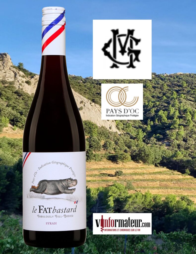 Fat Bastard, Syrah, France, Languedoc-Roussillon, Pays d’Oc, Maison Gabriel Meffre, 2022 bouteille