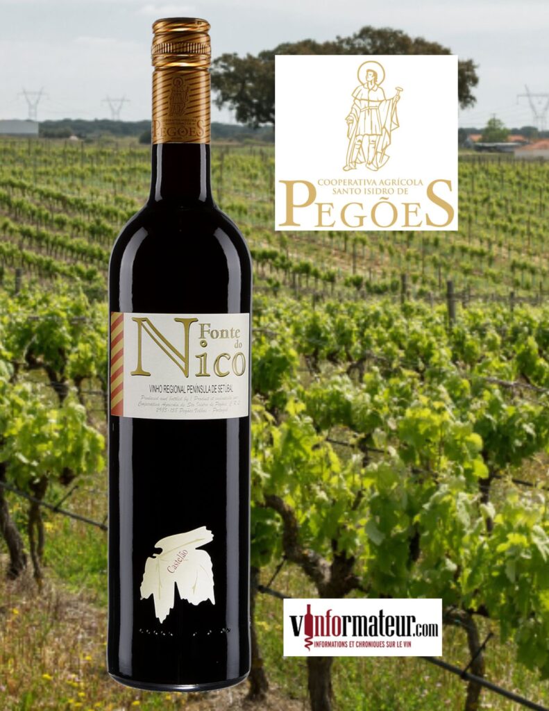 Fonte de Nico, Castelao, Portugal, Vinho Regional, Péninsule de Setubal, Palmela DO, vin rouge bouteille
