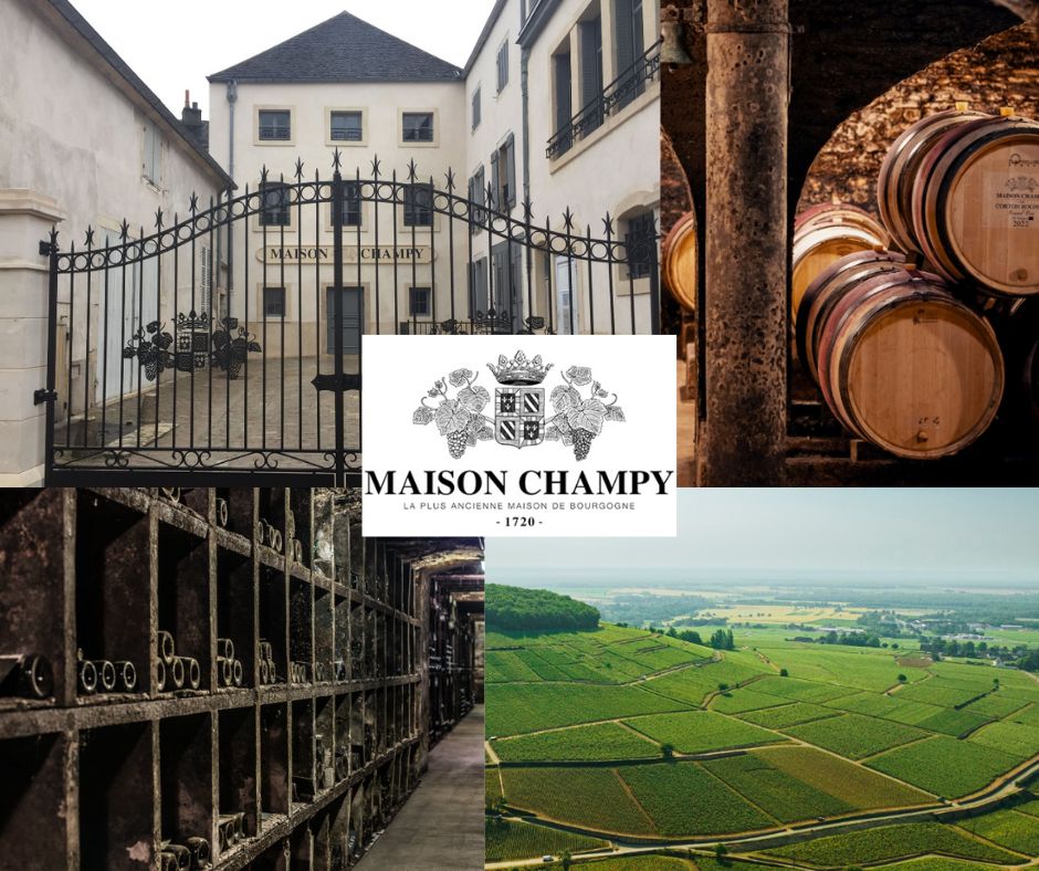 Maison Champy: chai et vignobles