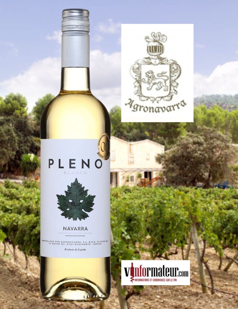 Pleno, Blanco, Espagne, Navarra, vin blanc, 2022 bouteille