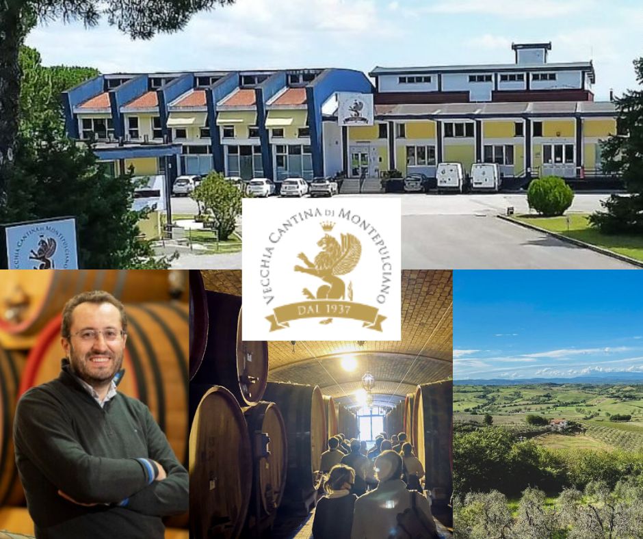 Vecchia Cantina: Andrea Rossi, bureaux, chai et vignobles