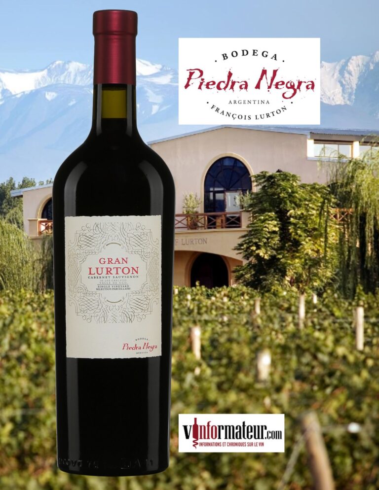 Gran Lurton, Cabernet-Sauvignon, Argentine, Mendoza, vin rouge, 2018 bouteille