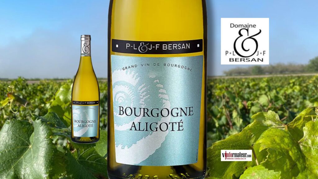 Un Bourgogne Aligoté pas comme les autres! PL & JF Bersan, 2022.