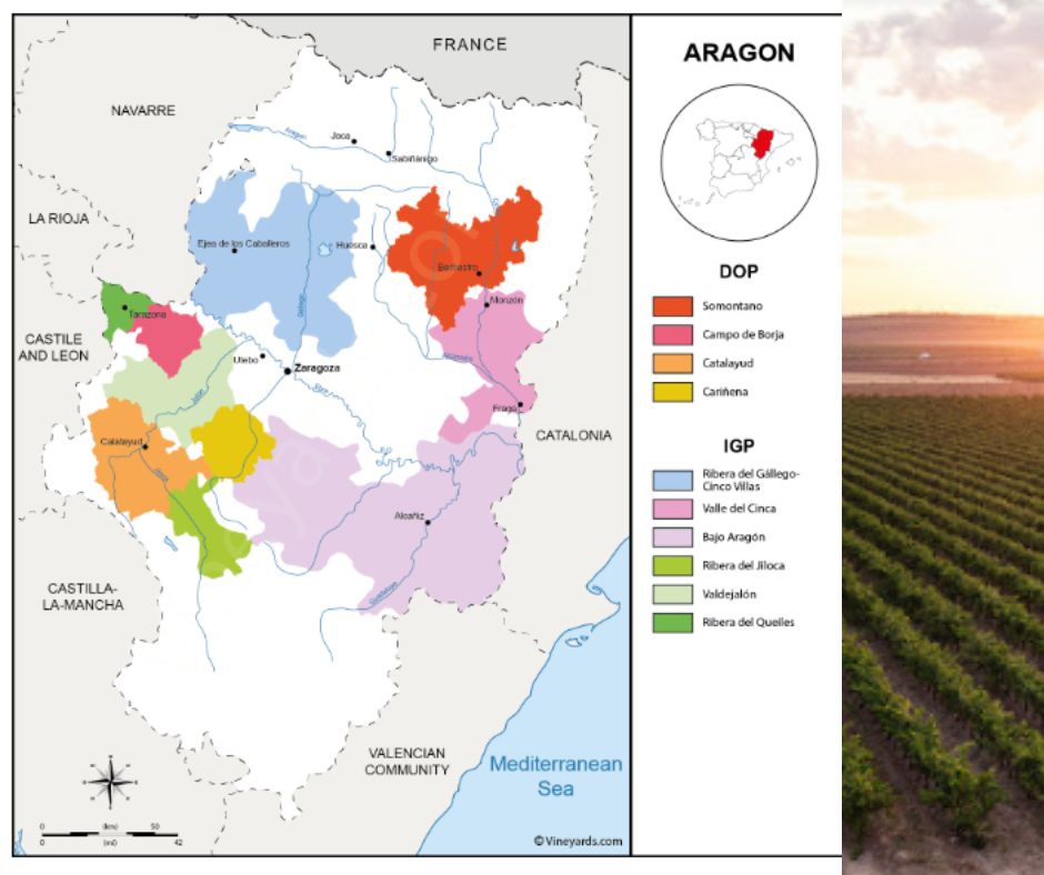 Carte viticole Aragon, Carinena.