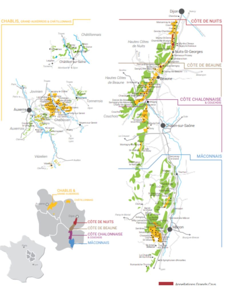 Carte viticole Bourgogne