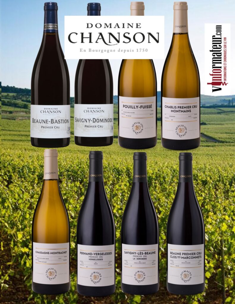 Domaine Chanson: Beaune-Bastion, Premier Cru, Savigny-Dominode, Premier Cru, Puilly Fuissé, Chablis 1er Cru, Montmains, Chassagne Montrachet, Pernand-Vergelesses, Premier Cru, Savigny-Lès-Beaune, Premier Cru, Beaune, Premier Cru bouteilles