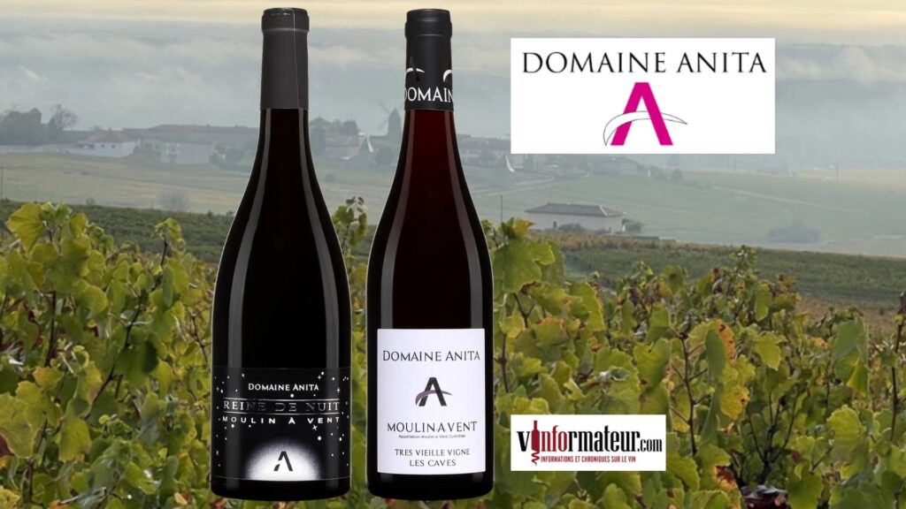 Coups de Coeur que ces Beaujolais Moulin-à-Vent du Domaine Anita!