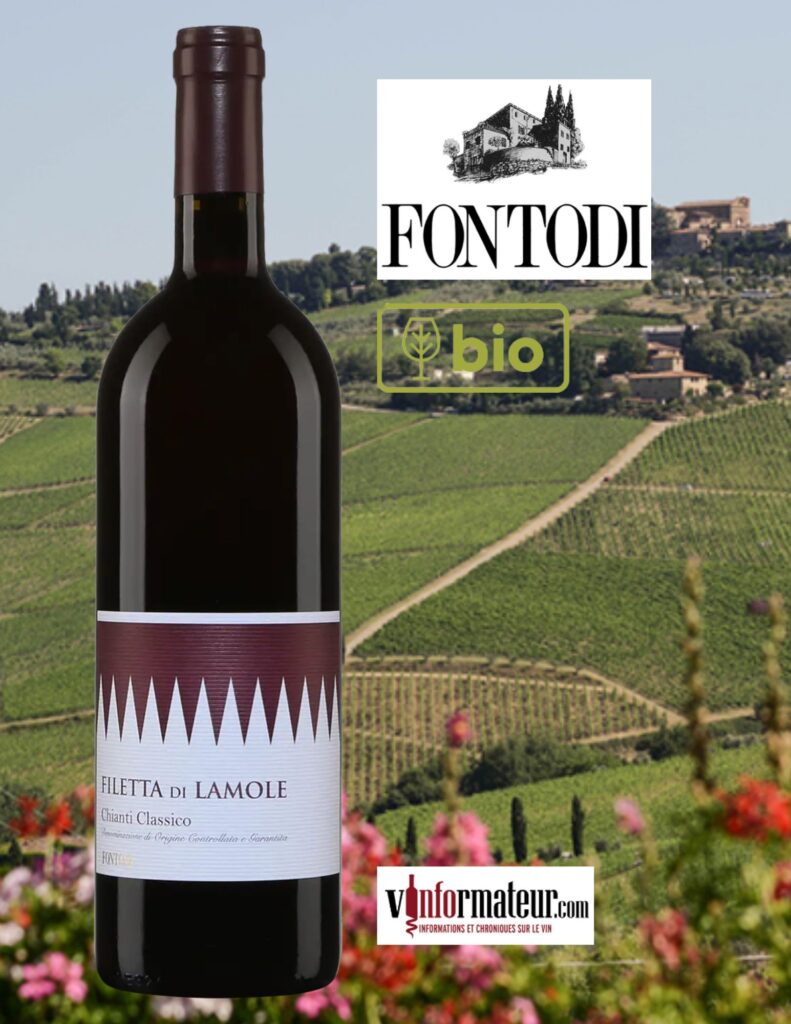 Fontodi, Filetta di Lamole, Chianti Classico DOCG, vin rouge bio, 2020 bouteille