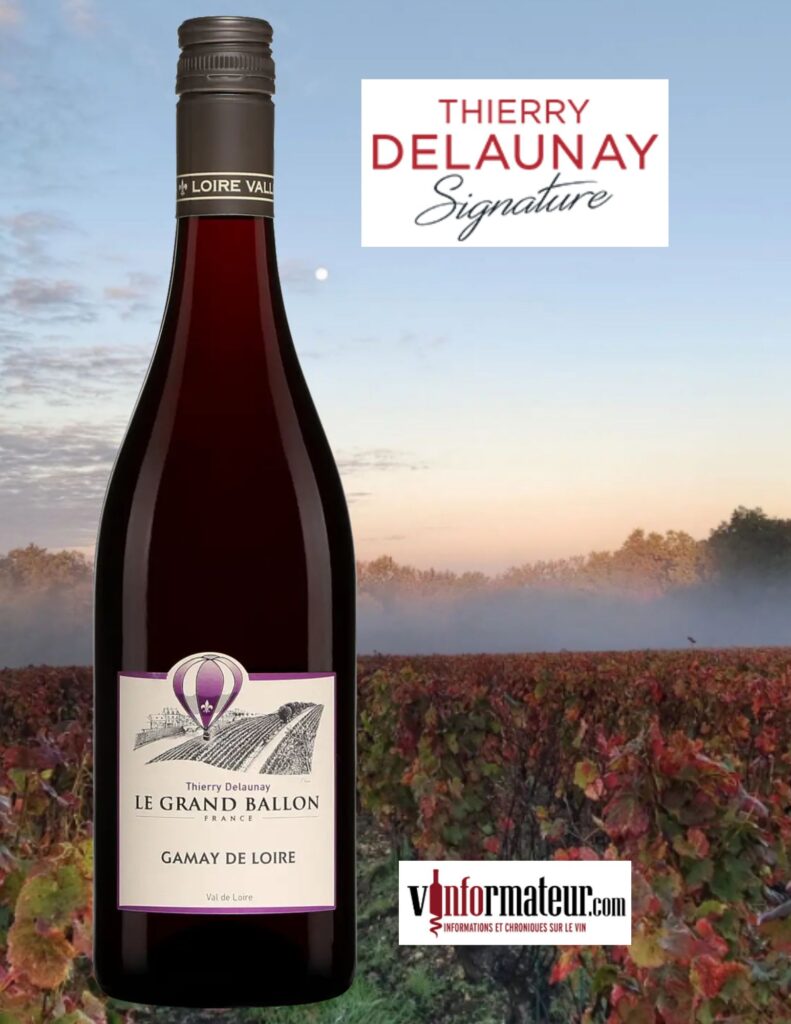 Le Grand Ballon, Gamay de Loire, Thierry Delaunay, 2022 bouteille