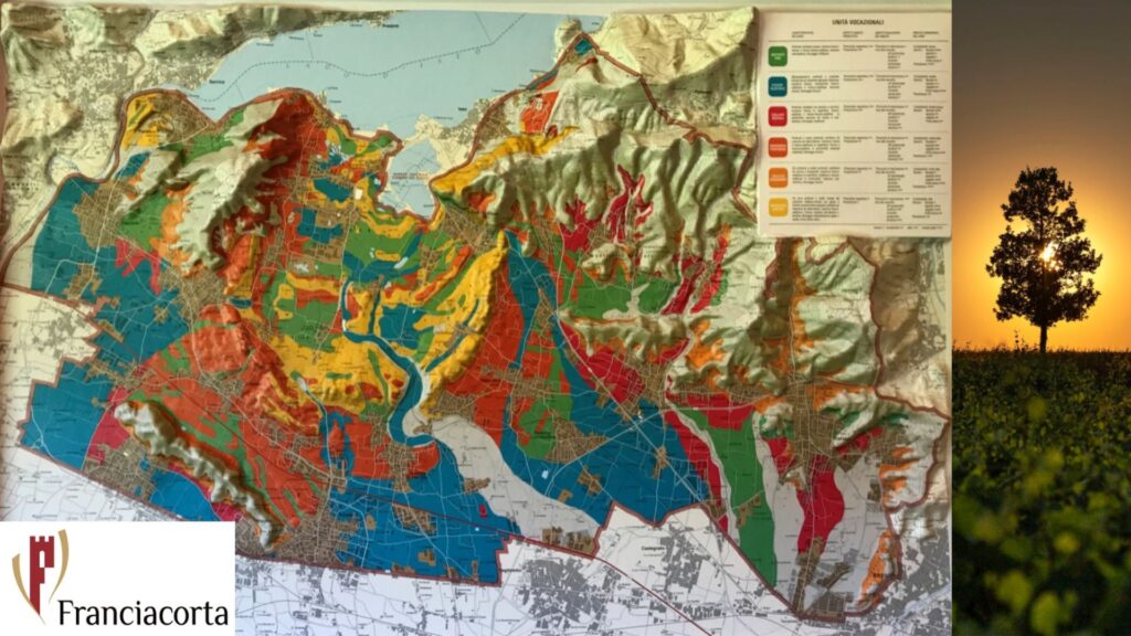 Carte viticole Franciacorta