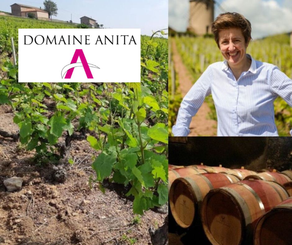 Domaine Anita: Anita Neveu, chai et vignobles