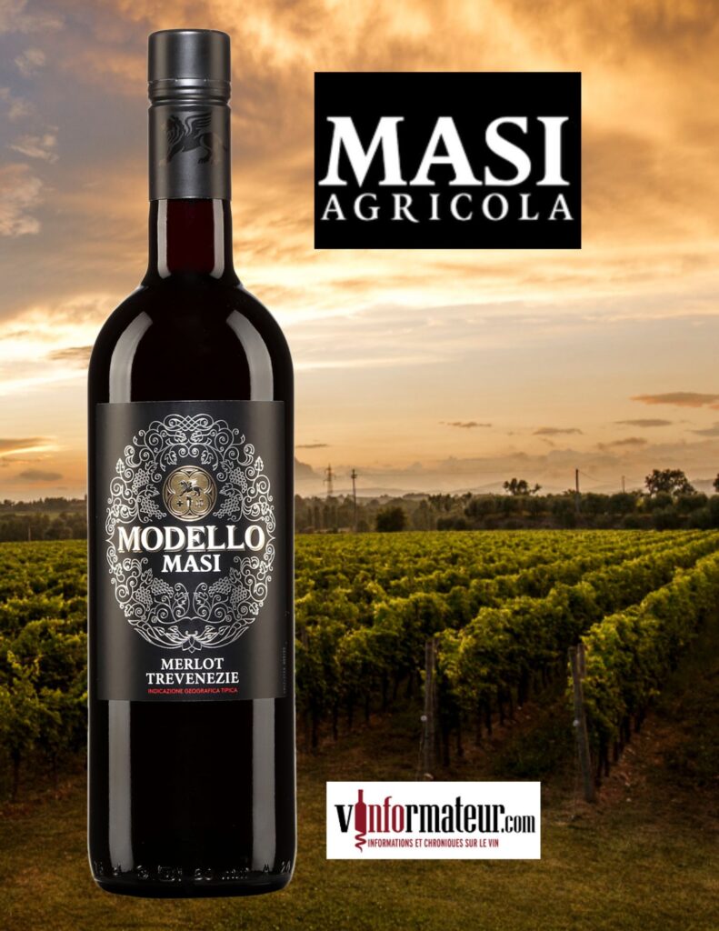Masi Modello, Merlot, Italie, Frioul-Vénétie Julienne – Trevenezie bouteille