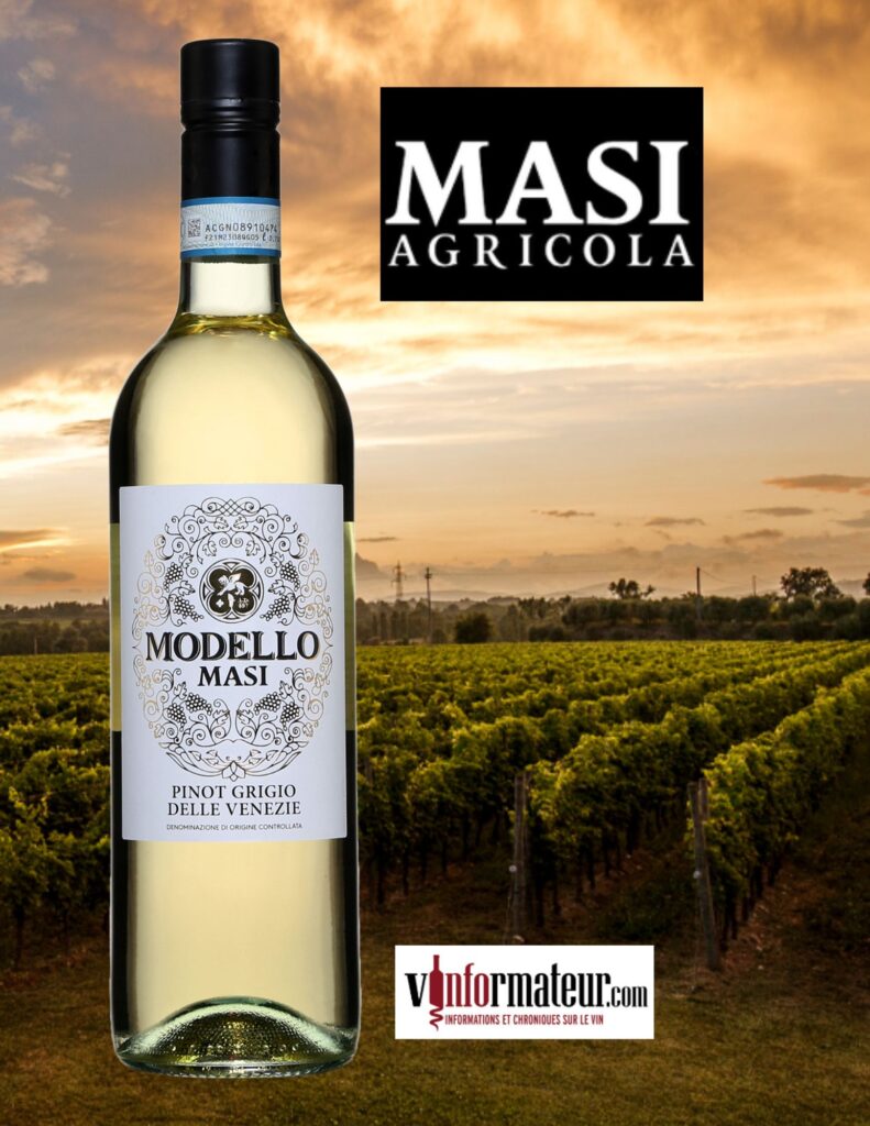 Masi Modello, Pinot Grigio delle Venezie bouteille