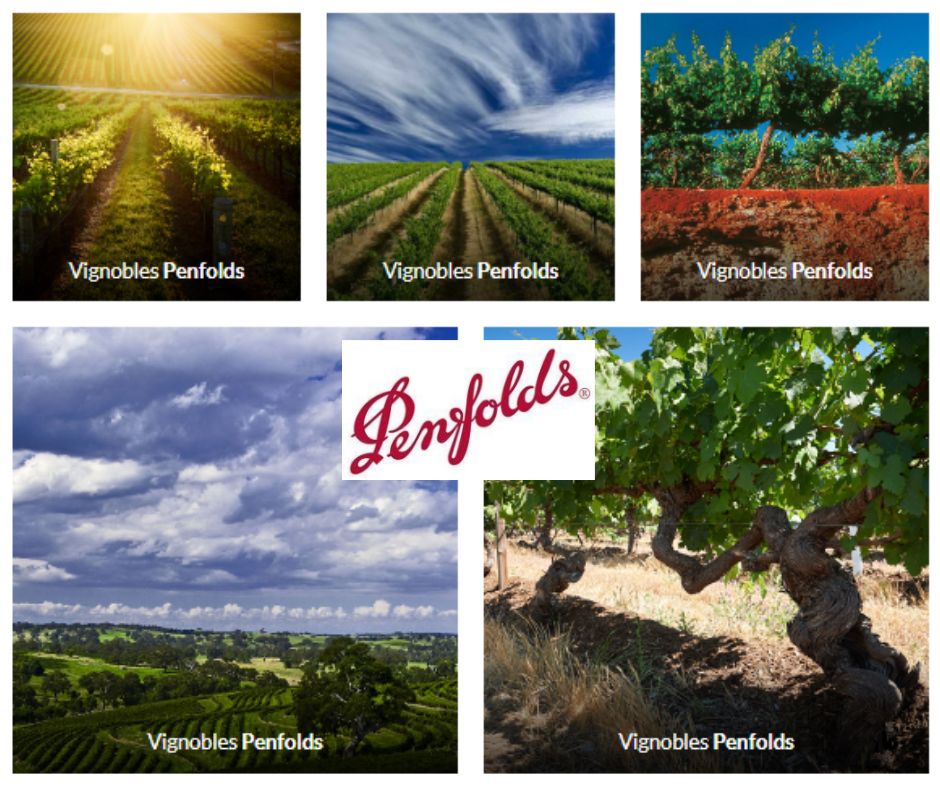 Vignobles Maison Penfolds