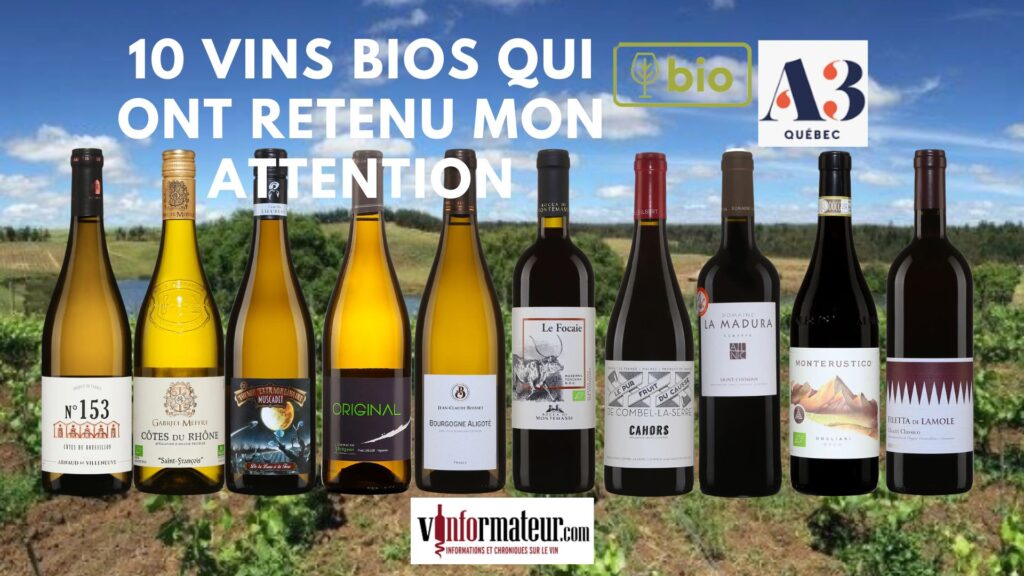 10 vins bios qui ont particulièrement retenu mon attention d’une dégustation d’une cinquantaine de vins bios