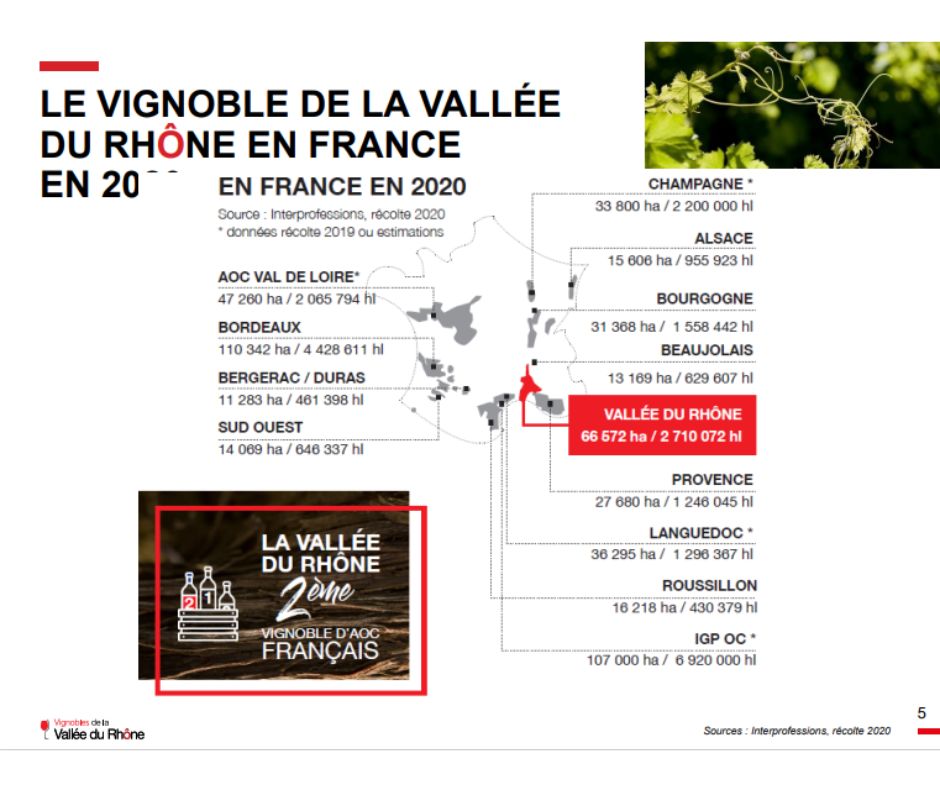 Vignoble de la Vallée du Rhône (source Inter Rhône)