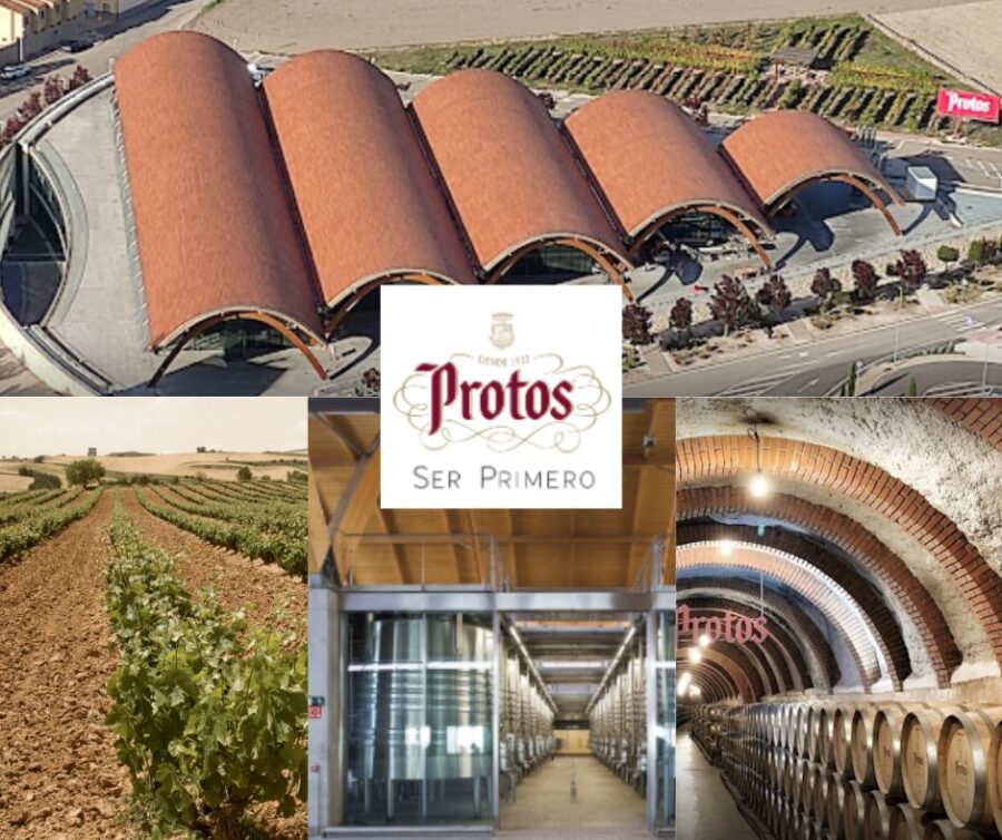 Bodegas Protos: chai et vignobles