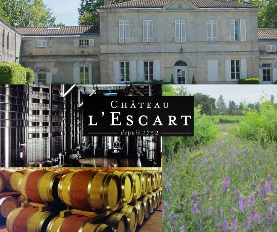 Château l'Escart: château, chai et vignobles