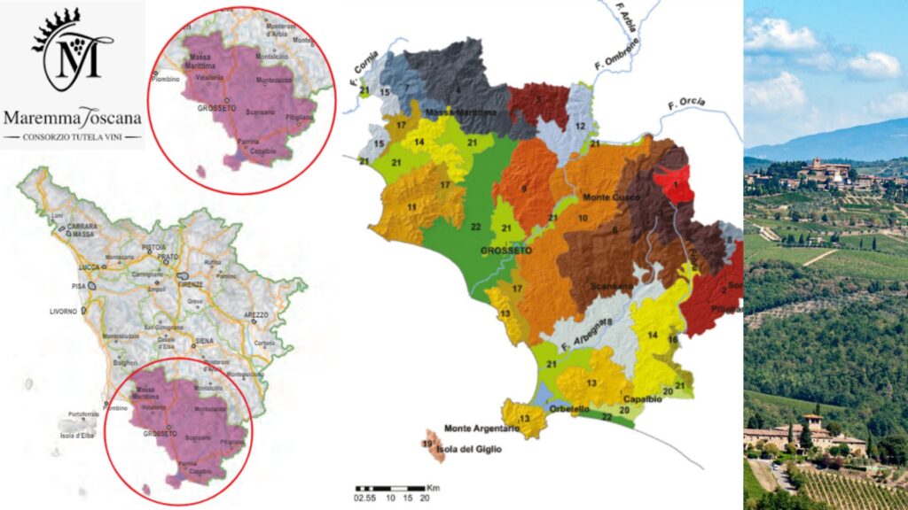 Carte viticole Maremma Toscana DOC