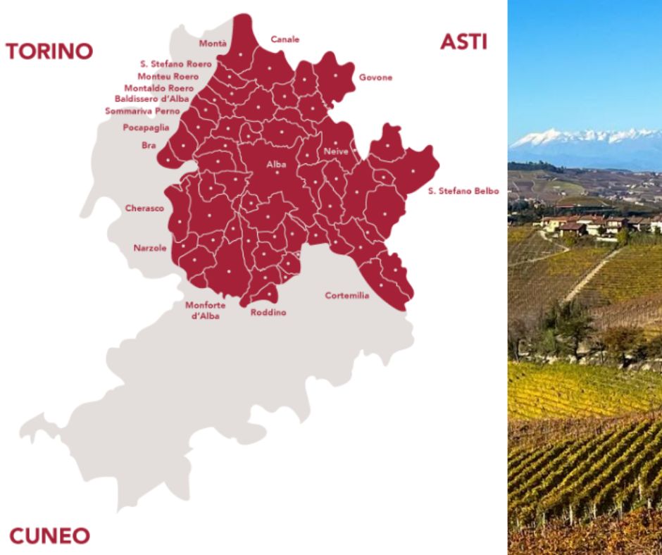 Carte viticole Barbera d'Alba DOC