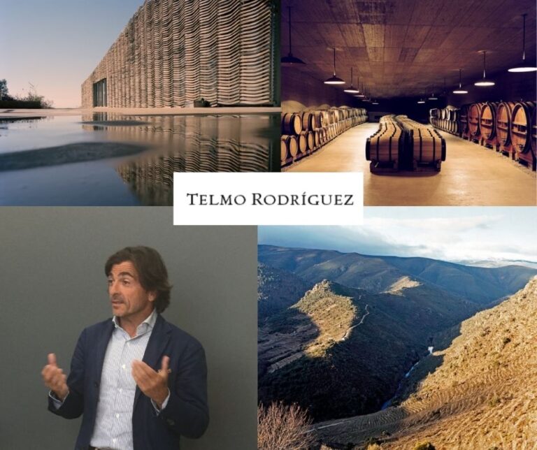 Telmo Rodriguez, chai et vignobles