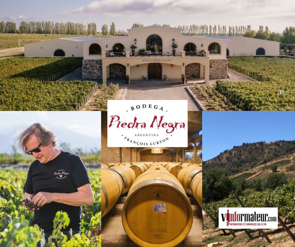 Bodega Piedra Negra: François Lurton, chai et vignobles