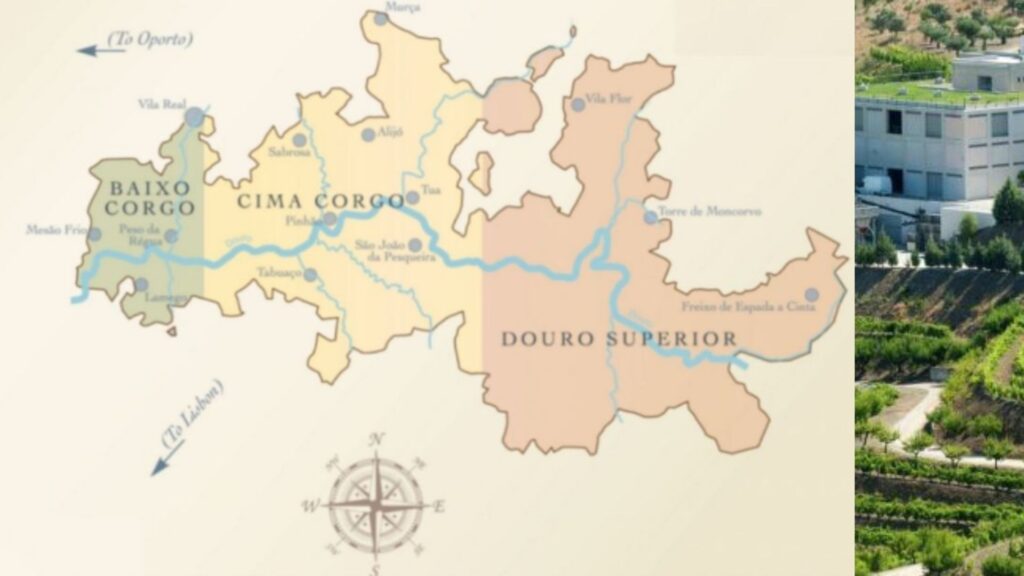 Carte viticole Douro