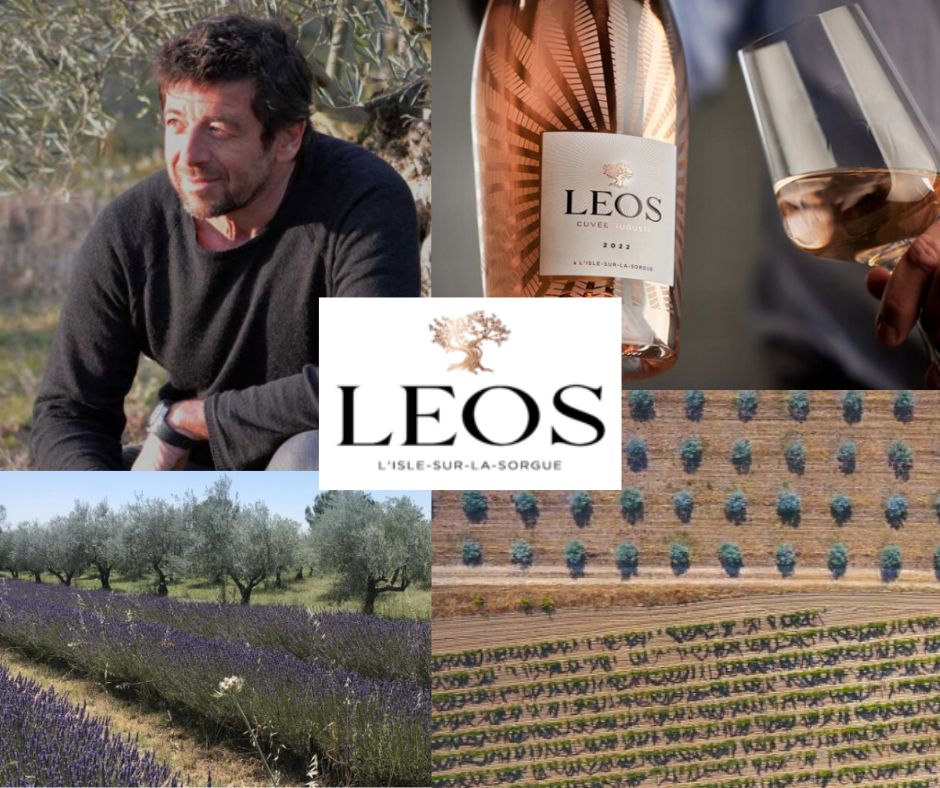 Domaine Leos: Patrick Bruel, vignobles