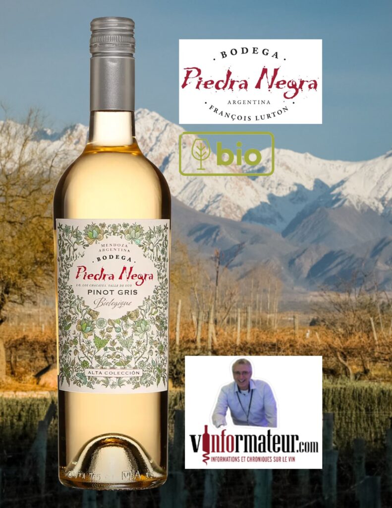 Piedra Negra, Pinot Gris Reserve, Argentine, Valle de Uco, Los Chacayes IG, Bodega Piedra Negra, François Lurton, vin blanc bio, 2023 bouteille