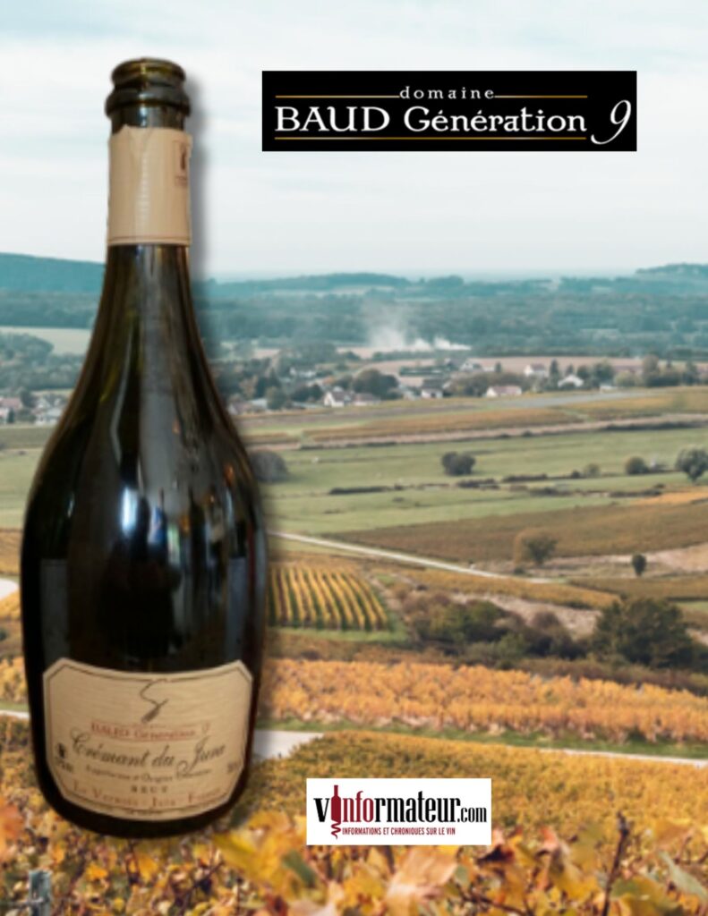 Domaine Baud, Crémant du Jura, Cuvée ‘’S’’ Brut bouteille