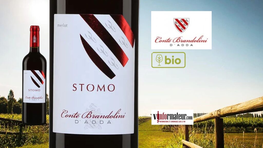 Stomo Merlot 2019 : Un Trésor Bio du Friuli Grave à découvrir