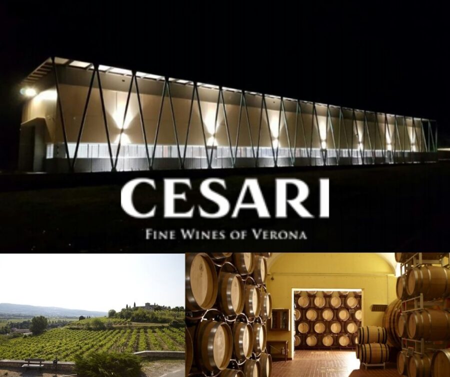 Gerardo Cesari: chai et vignobles