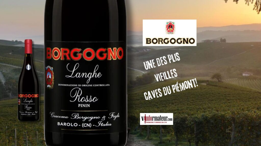 Un assemblage créatif du Langhe! Borgogno, Langhe Rosso, Pinin 2022.