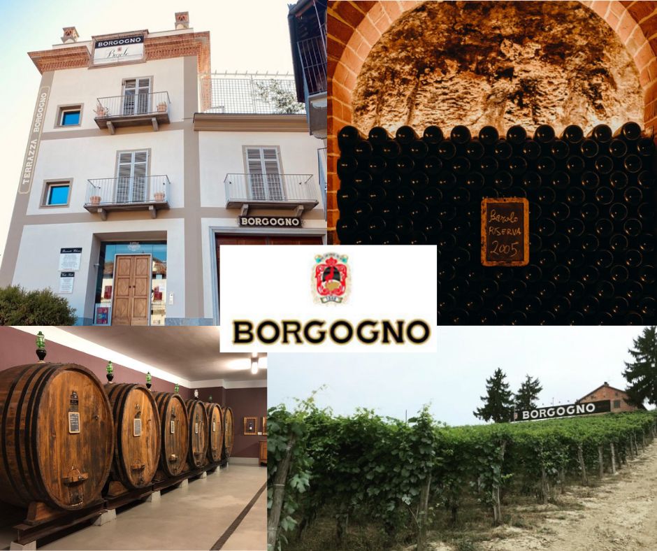 Borgogno: chai et vignobles