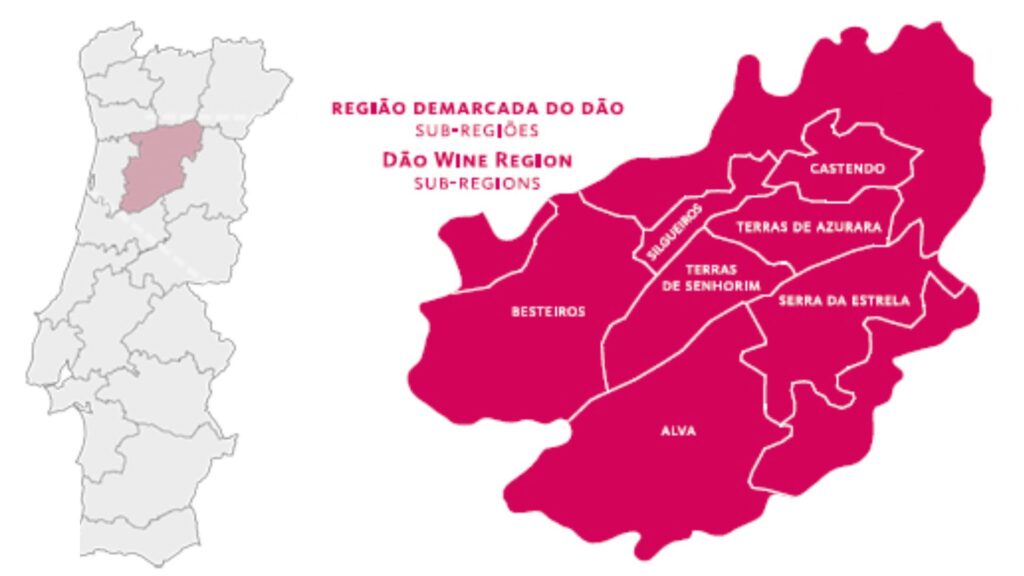 Carte viticole Dao