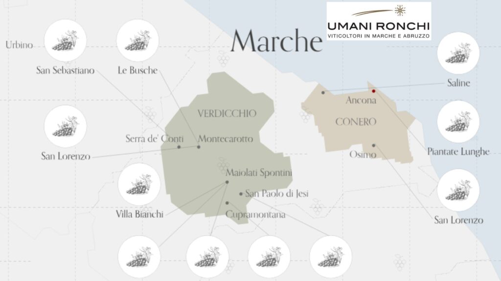 Carte viticole Les Marches, Italie
