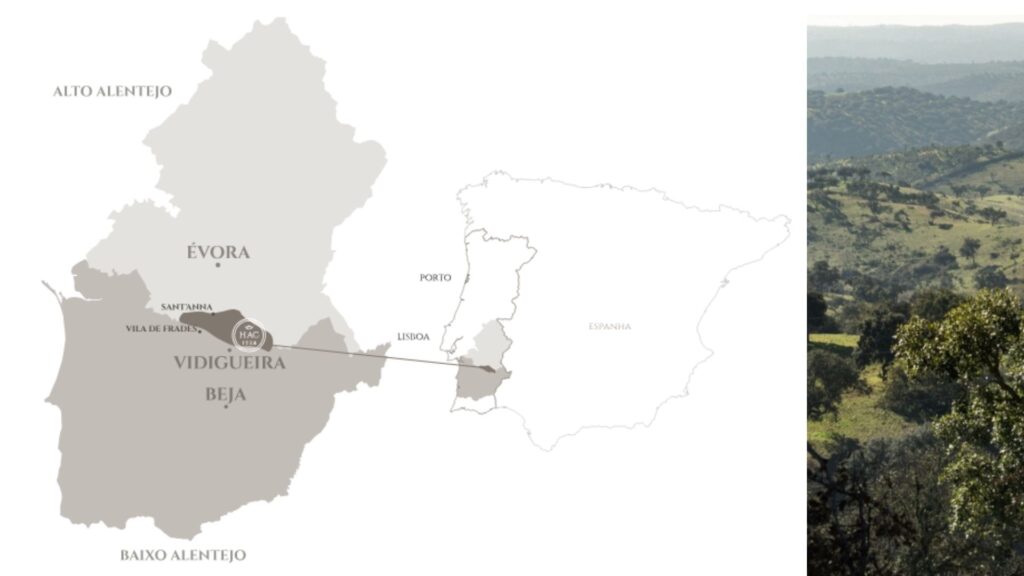 Carte viticole Alentejo