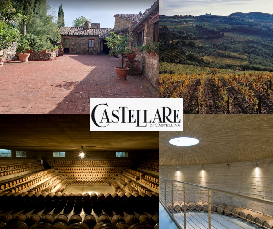 Castellare di Castelllina: chai et vignobles