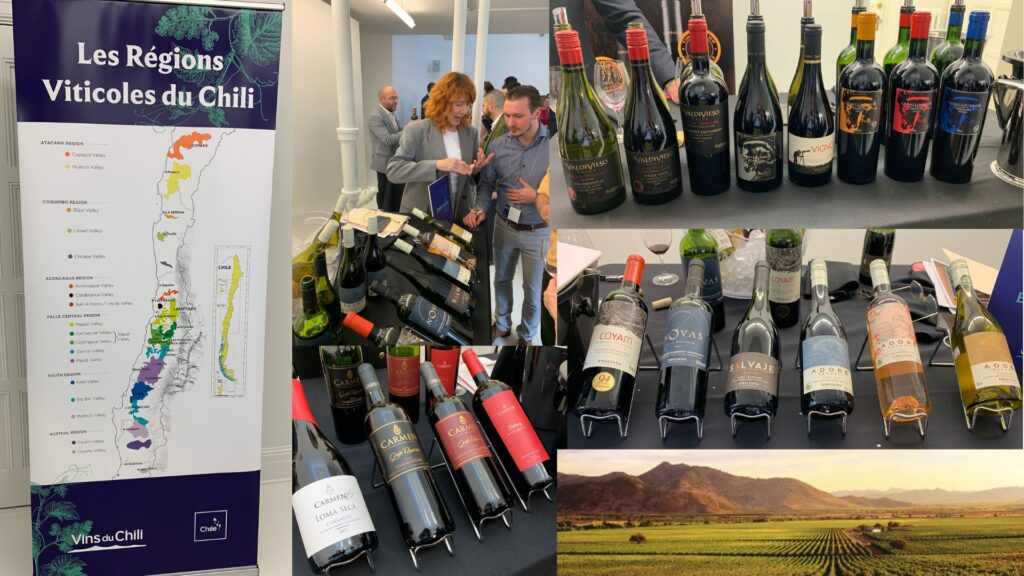 Dégustation des vins du salon du Chili