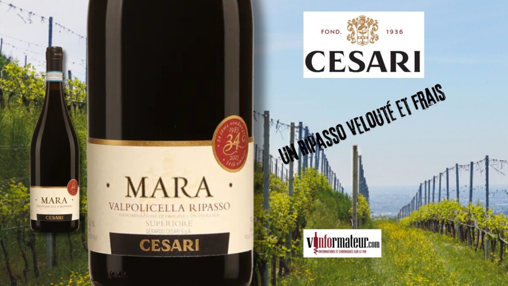 Découvrez l’Essence de Valpolicella : Le Ripasso Superiore 2020 de Gerardo Cesari