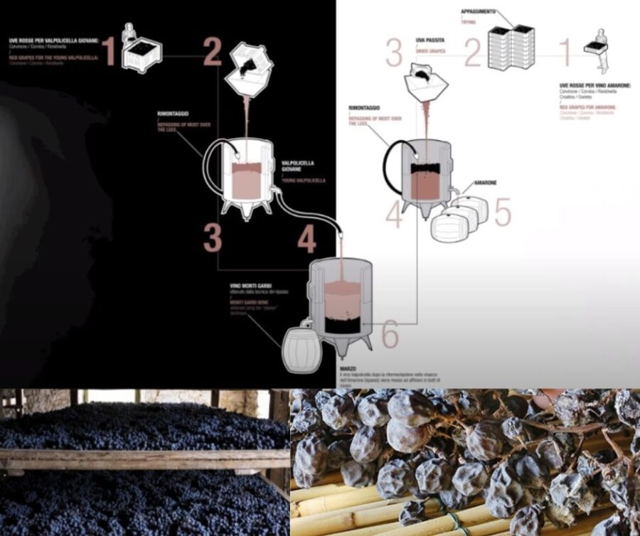 Processus de vinification du Ripasso