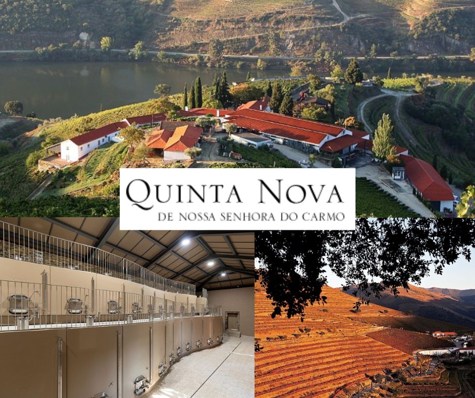 Quinta Nova de Nossa Senhora do Carmo: chai et vignobles