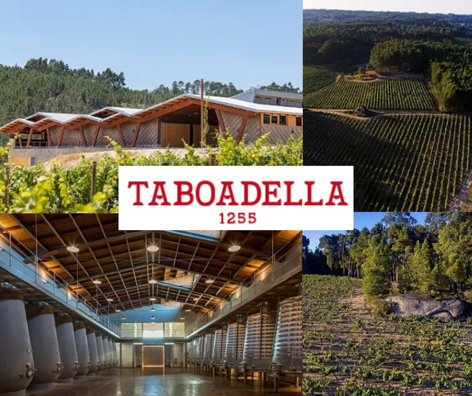 Quinta da Taboadella: chai et vignobles