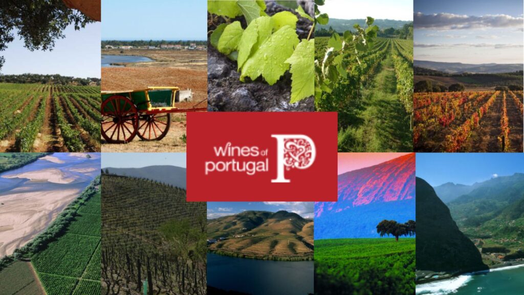 Les terroirs du Portugal